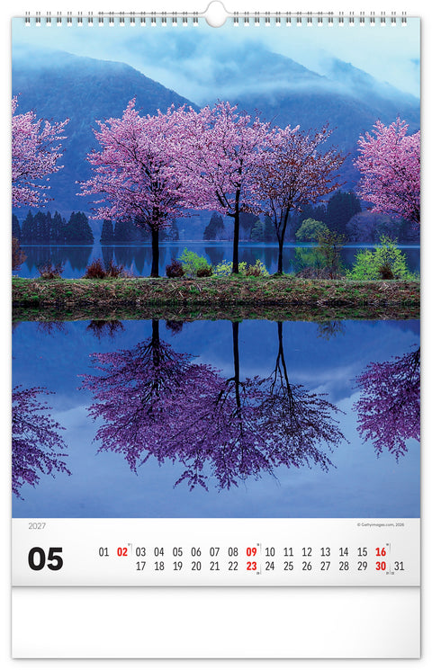 Wall calendar Trees 2027, 33 x 46 cm