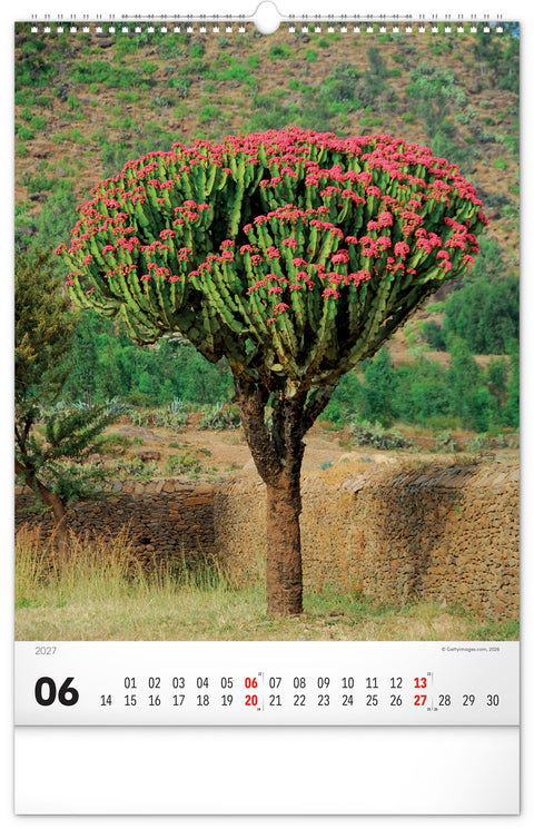 Wall calendar Trees 2027, 33 x 46 cm