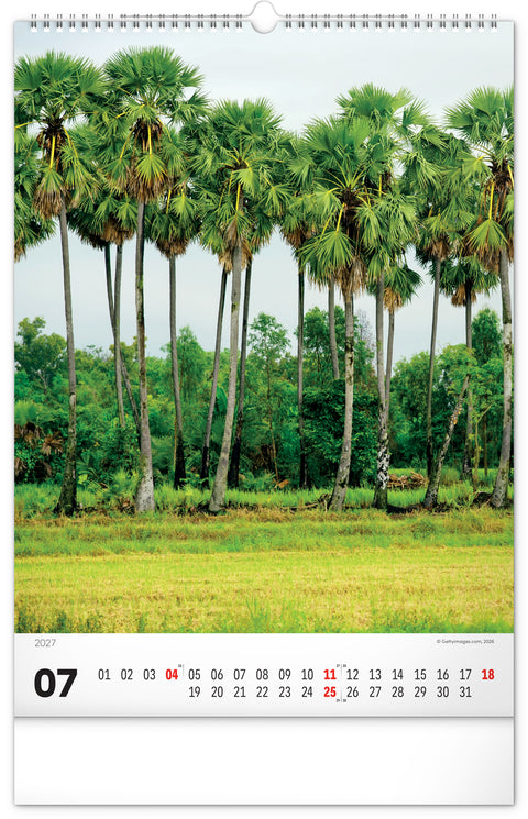 Wall calendar Trees 2027, 33 x 46 cm