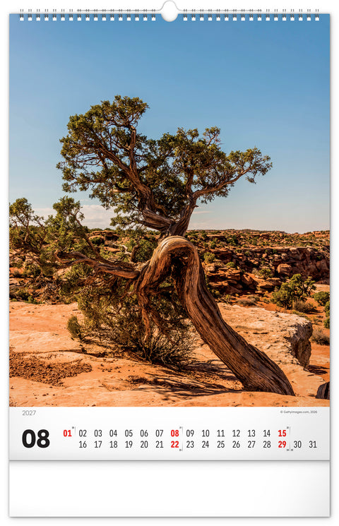 Wall calendar Trees 2027, 33 x 46 cm