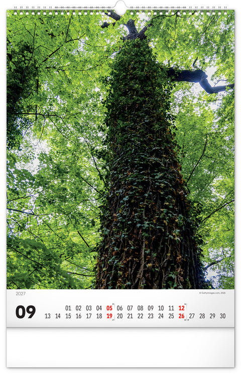 Wall calendar Trees 2027, 33 x 46 cm