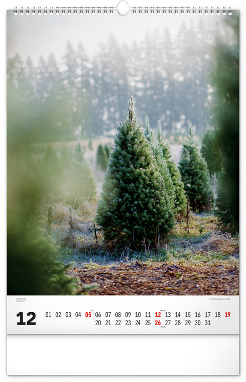 Wall calendar Trees 2027, 33 x 46 cm