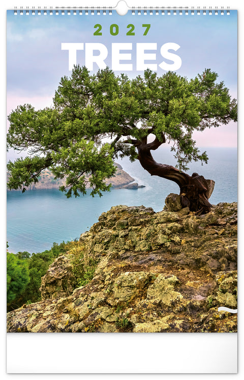 Wall calendar Trees 2027, 33 x 46 cm