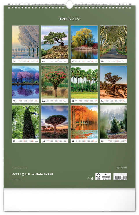Wall calendar Trees 2027, 33 x 46 cm
