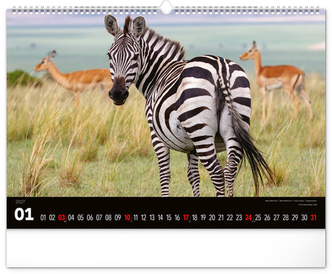 Wall calendar Wild Africa 2027, 48 x 33 cm