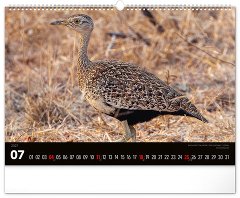 Wall calendar Wild Africa 2027, 48 x 33 cm