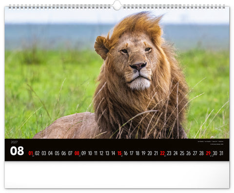 Wall calendar Wild Africa 2027, 48 x 33 cm