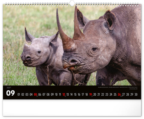Wall calendar Wild Africa 2027, 48 x 33 cm