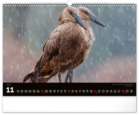 Wall calendar Wild Africa 2027, 48 x 33 cm