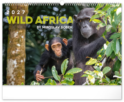 Wall calendar Wild Africa 2027, 48 x 33 cm