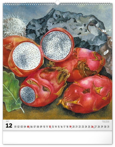 Wall calendar Frida Kahlo 2027, 48 x 56 cm