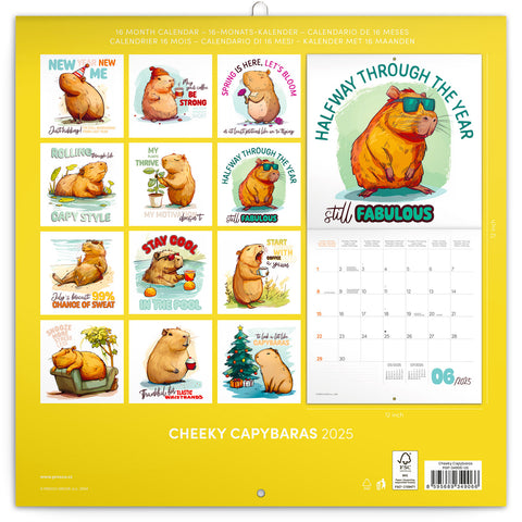 Wall planner Cheeky Capybaras 2025, 30 x 30 cm