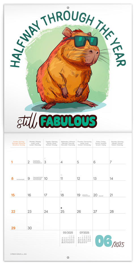 Wall planner Cheeky Capybaras 2025, 30 x 30 cm