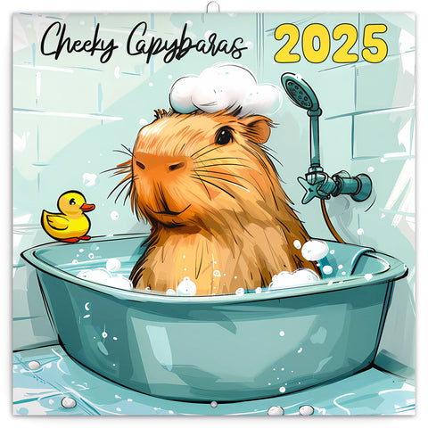 Wall planner Cheeky Capybaras 2025, 30 x 30 cm