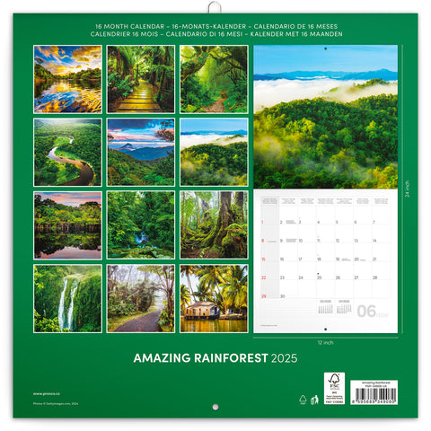 Wall planner Rainforests 2025, 30 x 30 cm