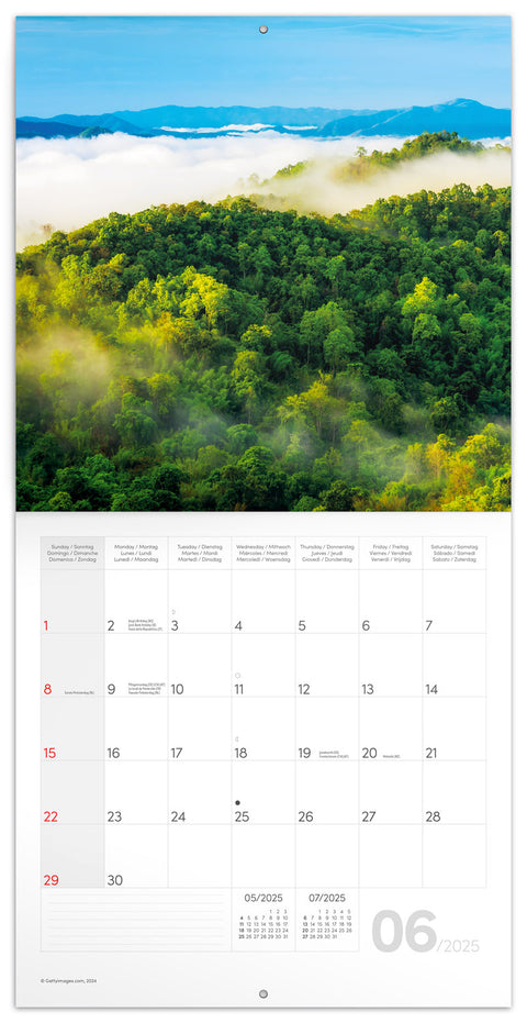 Wall planner Rainforests 2025, 30 x 30 cm