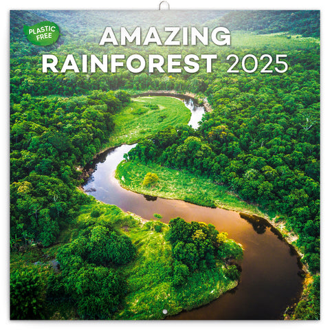 Wall planner Rainforests 2025, 30 x 30 cm