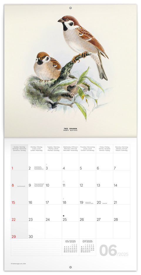 Wall planner Birds 2025, 30 x 30 cm