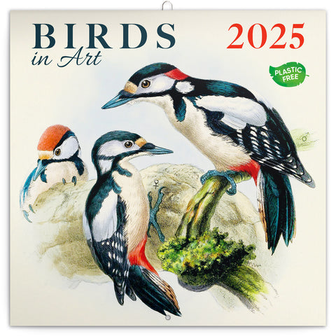 Wall planner Birds 2025, 30 x 30 cm