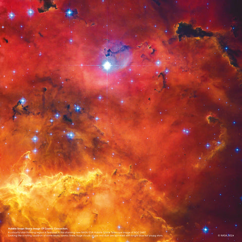 Wall planner NASA 2025, 30 x 30 cm