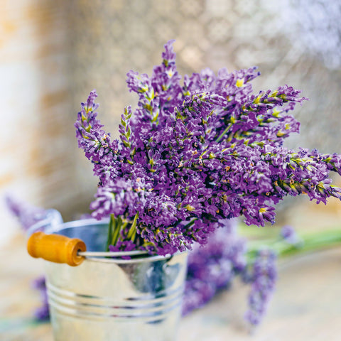 Wall planner Provence 2025, 30 x 30 cm