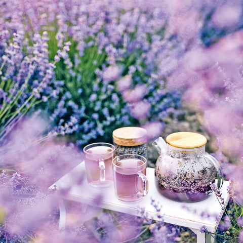 Wall planner Provence 2025, 30 x 30 cm