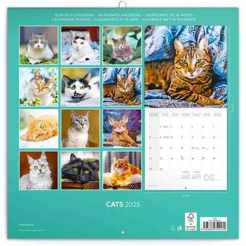 Wall planner Cats 2025, 30 x 30 cm