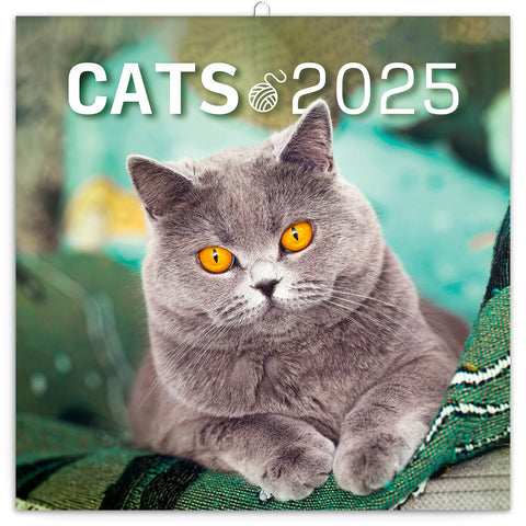 Wall planner Cats 2025, 30 x 30 cm
