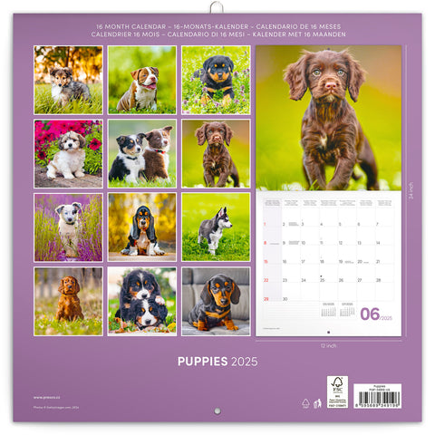 Wall planner Puppies 2025, 30 x 30 cm