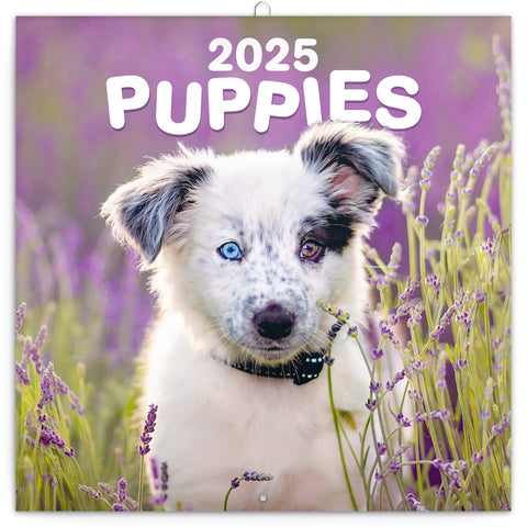 Wall planner Puppies 2025, 30 x 30 cm