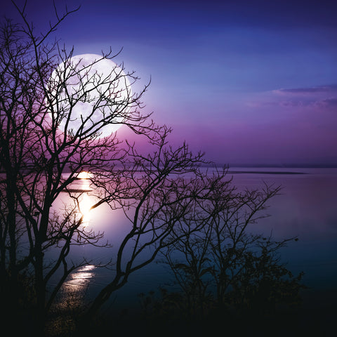 Grid calendar The Moon 2026, 30 x 30 cm