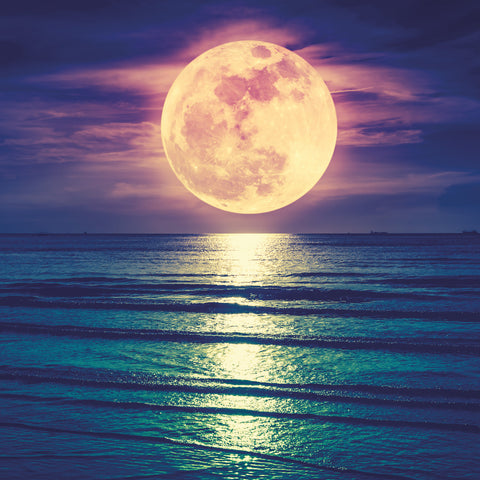 Grid calendar The Moon 2026, 30 x 30 cm