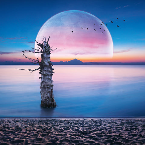 Grid calendar The Moon 2026, 30 x 30 cm