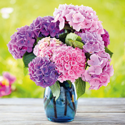 Grid calendar Flowers 2026, 30 x 30 cm