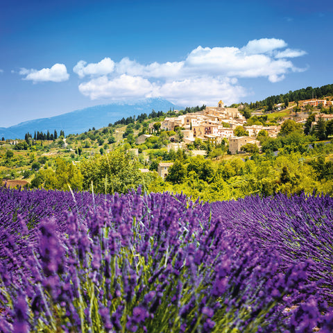 Grid calendar Provence 2026, 30 x 30 cm