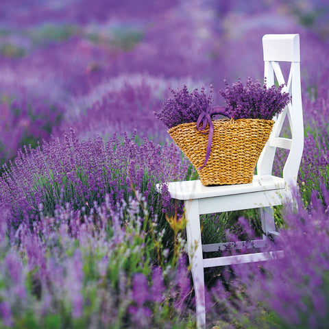 Grid calendar Provence 2026, 30 x 30 cm