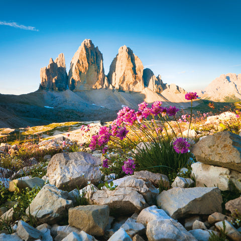 Grid calendar Alps 2026, 30 x 30 cm