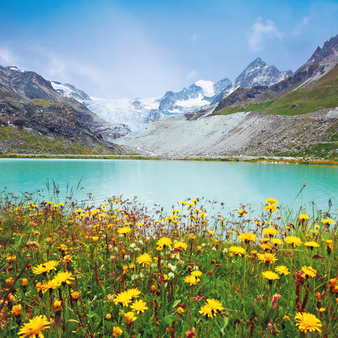 Grid calendar Alps 2026, 30 x 30 cm