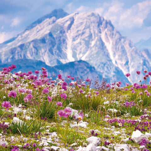 Grid calendar Alps 2026, 30 x 30 cm