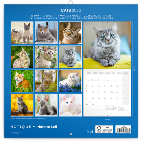 Grid calendar Cats 2026, 30 x 30 cm