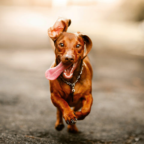 Grid calendar Keep Smiling 2026, 30 x 30 cm