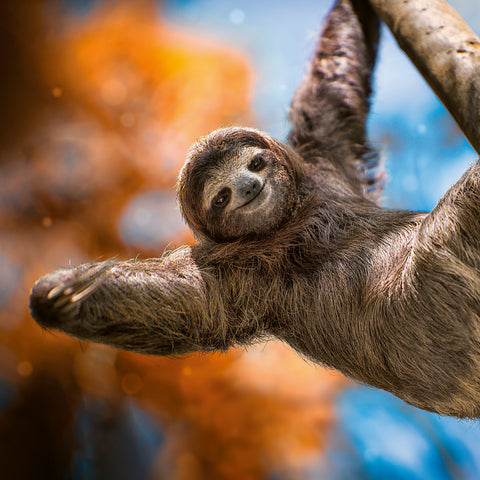 Grid calendar Keep Smiling 2026, 30 x 30 cm