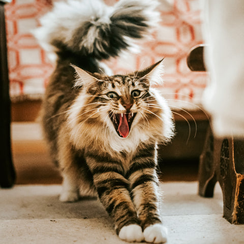 Grid calendar Keep Smiling 2026, 30 x 30 cm