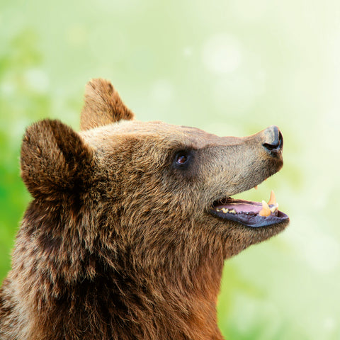 Grid calendar Keep Smiling 2026, 30 x 30 cm