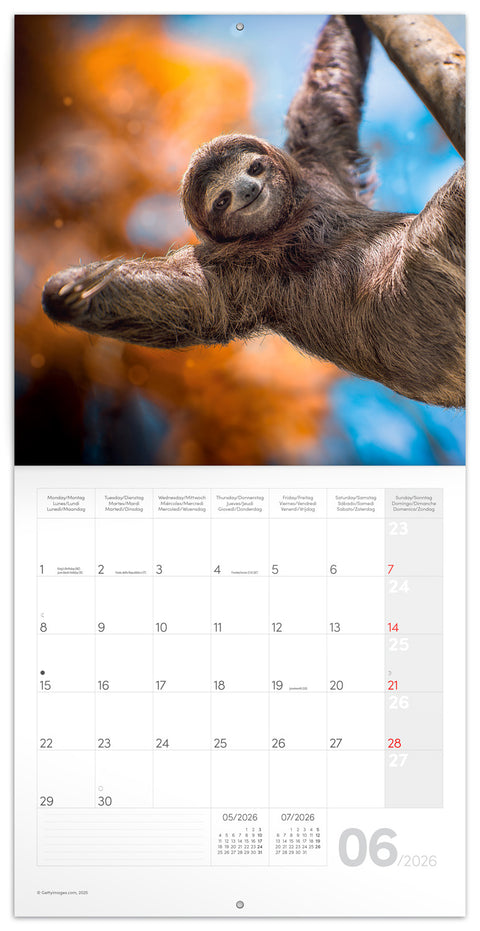 Grid calendar Keep Smiling 2026, 30 x 30 cm