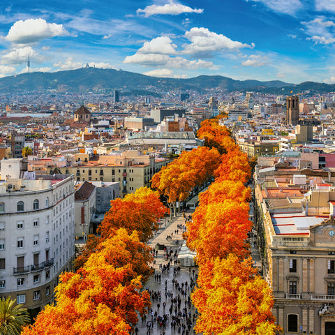 Grid calendar Barcelona 2026, 30 x 30 cm