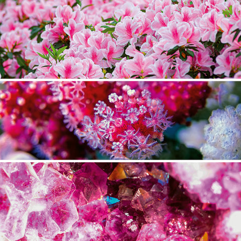 Grid calendar Palette 2026, 30 x 30 cm