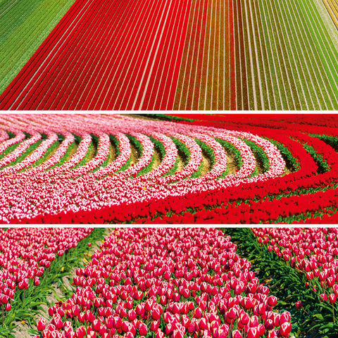 Grid calendar Palette 2026, 30 x 30 cm