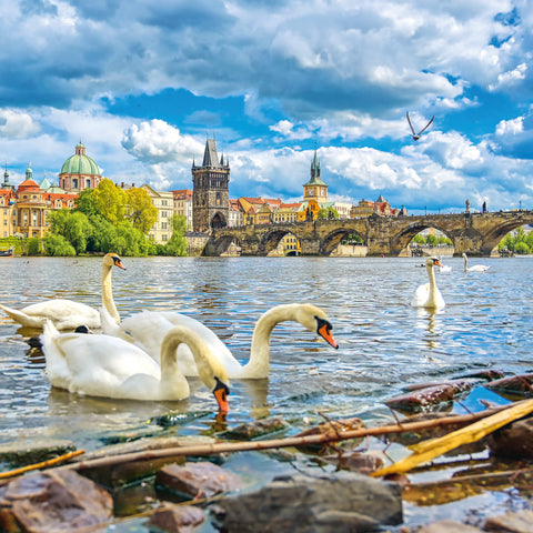 Grid calendar Prague 2026, 30 x 30 cm