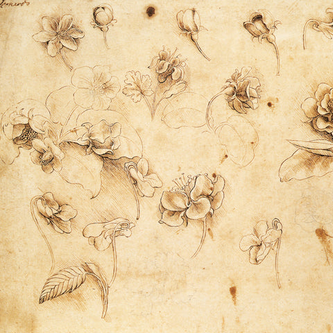 Grid calendar Leonardo da Vinci 2026, 30 x 30 cm